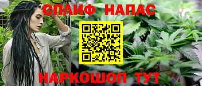 прущие грибы Пугачёв
