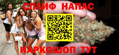прущие грибы Пугачёв